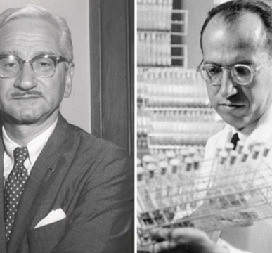 Le Dr Jonas Salk et le Dr Albert Sabin les inventeurs des vaccins contre la poliomyélite